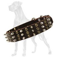 Safe Great Dane Leather Collar | Brass and Spikes