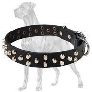 Great Dane Studded Leather Collar | Nickel-Plated Pyramids