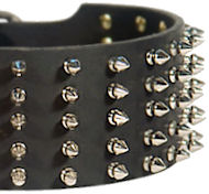 Walking in Style and Grace - Extra Wide Spiked Leather Great Dane Collar