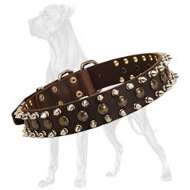 Quality Leather Great Dane Collar with Spikes and Studs