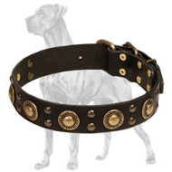"Mystery is Inside" Leather Collar for Great Dane with Brass Conchos and Studs