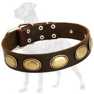 High Quality Leather Dog Collar for Great Dane with Vintage Ovals