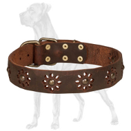 Tremendous Leather Great Dane Collar with Flower Adornments