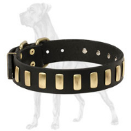 Tremendous Leather Great Dane Collar with Brass Plates