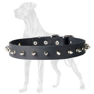 Small Spiked Dog Collar for Great Dane