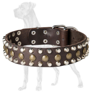 Leather Dog Collar with Studs and Pyramids for Great Dane
