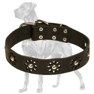 "Elegant Flower" Leather Dog Collar for Great Dane Walking