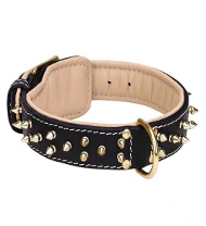 Great Dane Padded Leather Collar | Brass Plated Fittings