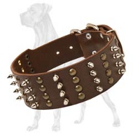 Spiked & Studded Genuine Leather Great Dane Collar