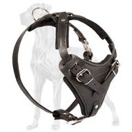 Easy Adjustable Heavy Duty Harness for Great Dane