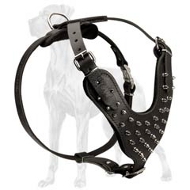 Leather Great Dane Harness with Nickel Plated Spikes