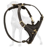 Leather Padded Practical Harness for Great Dane