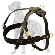 Leather Tracking Harnesses - Pulling Dog Harness for Great Dane