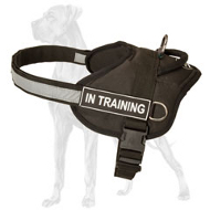 Better Vision Great Dane Harness with ID Patches and Reflective Trim