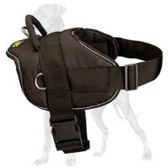 Lightweight Dog Harness for Great Dane