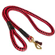 Round Nylon Leash With Brass Snap Hook for Great Dane