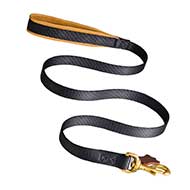 Practical Nylon Great Dane Leash with Nappa Padded Handle