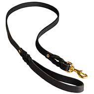 Braided Leather Lead for Great Dane