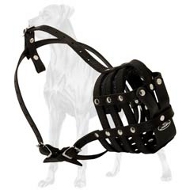 Durable Leather Muzzle Soft Inside for Great Dane