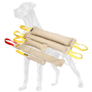 Set of 5 Professional Jute Bite Tools for Great Dane Puppy and Adult Training