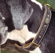Stylish Leather Great Dane Collar with Decorations