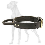 Leather Agitation Great Dane Collar With Handle