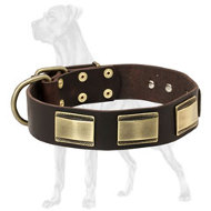 Leather Great Dane Collar with Brass Plates