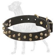 Studded Leather Dog Collar for Great Dane
