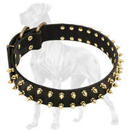 Spiked Leather Great Dane Collar with Brass Hardware