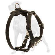 Spiked Leather Great Dane Puppy Harness with Padded Chest Plate