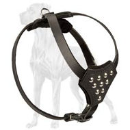Leather-Great-Dane-Puppy-Harness-with-Cones-H25