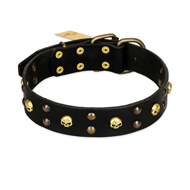 FDT Artisan 'Heavy Metal' Decorated Leather Great Dane Collar with Skulls and Studs 1 1/2 inch (40 mm)