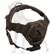Exclusive All Weather Nylon Great Dane Harness