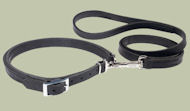 Combo Leather Leash and Collar for Great Dane