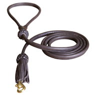 Rolled Leather Great Dane Leash for Walking in Style