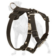 Fashionable Leather Great Dane Harness with Studs