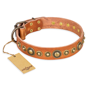 'Feast of Luxury' FDT Artisan Great Dane Tan Leather Dog Collar with Old Bronze-Like Plated Circles - 1 1/2 inch (40 mm) wide