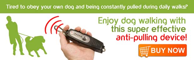 Anti-Dog-Pulling-Device-US2