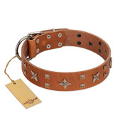 "Dreamy Gleam" FDT Artisan Tan Leather Great Dane Collar Adorned with Stars and Squares