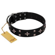 "Snappy Dresser" FDT Artisan Black Leather Great Dane Collar Adorned with Stars and Tiny Squares