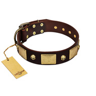 "Heavy Metal" FDT Artisan Brown Leather Great Dane Collar with Old Bronze-like Skulls and Plates