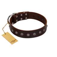 "Graceful Classic" Mod FDT Artisan Brown Leather Great Dane Collar
