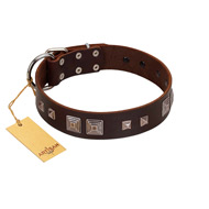 "Object of Virtu" FDT Artisan Brown Leather Great Dane Collar with Old Silver-like Square Studs and Pyramids