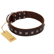"Kingly Grace" FDT Artisan Brown Leather Great Dane Collar with Silver-like Dotted Studs