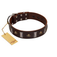 "War Chief" FDT Artisan Genuine Brown Leather Great Dane Collar with Skulls and Plates