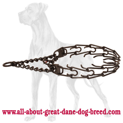 Black Prong Dog Collar of Stainless Steel