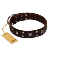 "Bigwig Woof" FDT Artisan Brown Leather Great Dane Collar with Chrome Plated Stars and Square Studs