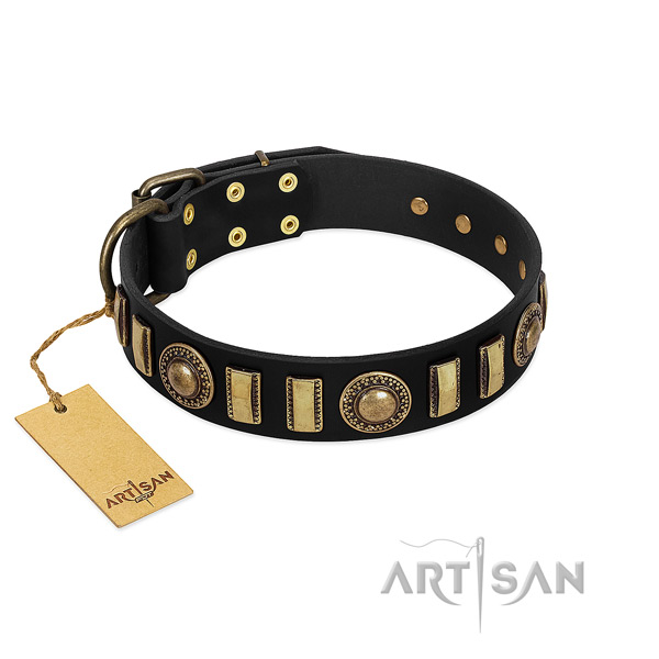 Top rate full grain leather dog collar with corrosion proof fittings