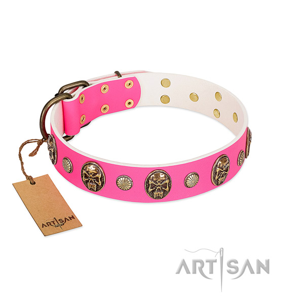 Rust-proof decorations on full grain leather dog collar for your pet