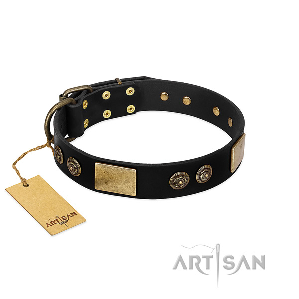 Rust-proof embellishments on genuine leather dog collar for your doggie